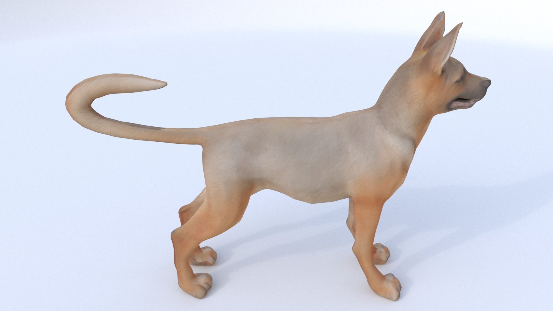 German Shepherd 3D model_4