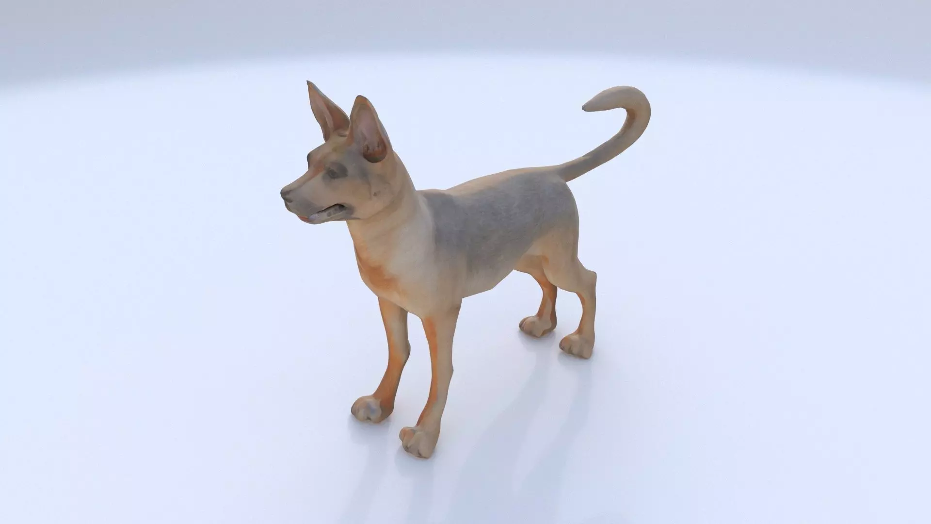 German Shepherd 3D model_0