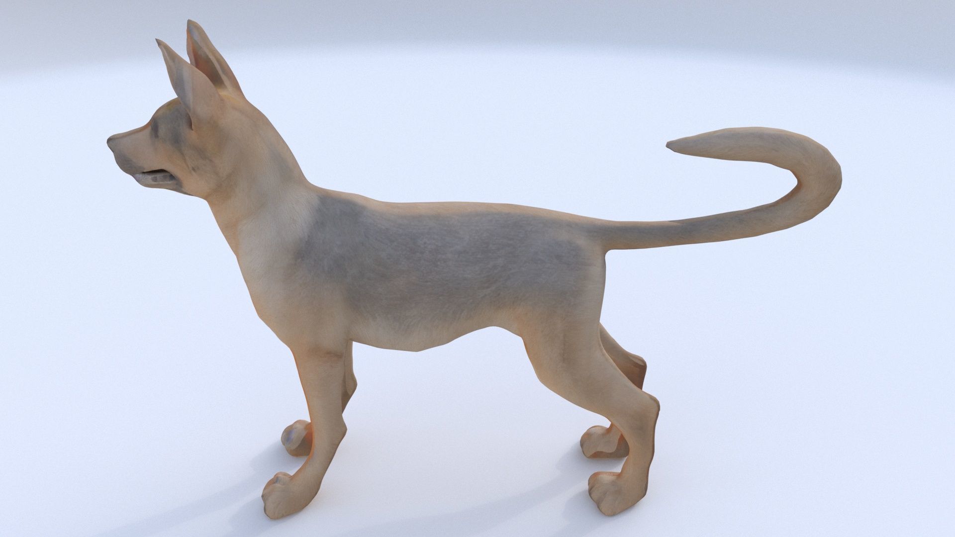 German Shepherd 3D model_1