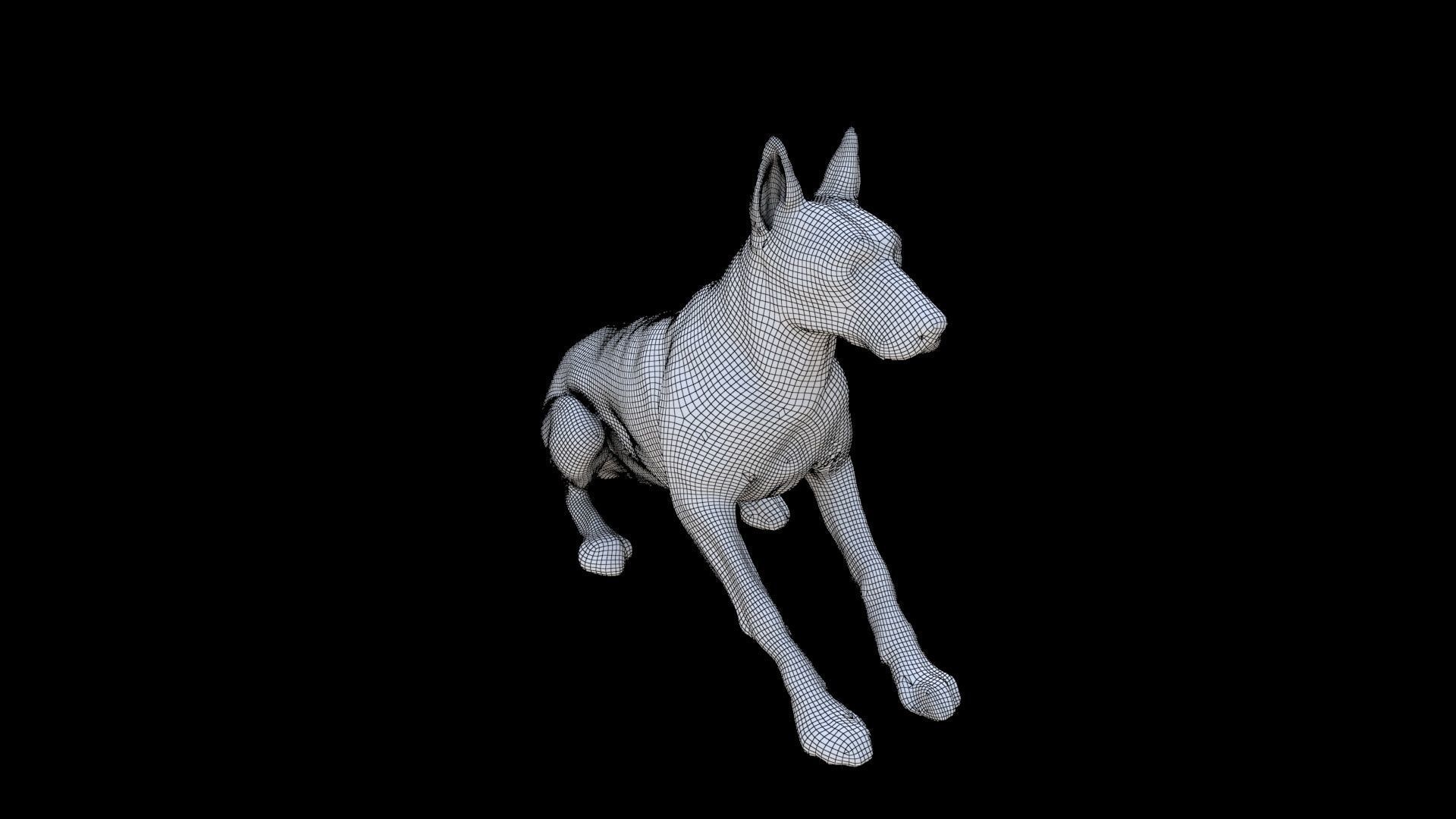 German Shepherd seated 3D model_5