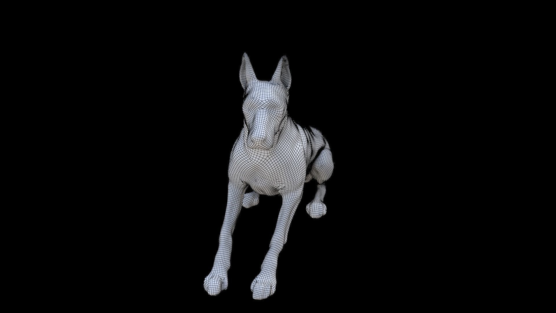 German Shepherd seated 3D model_6