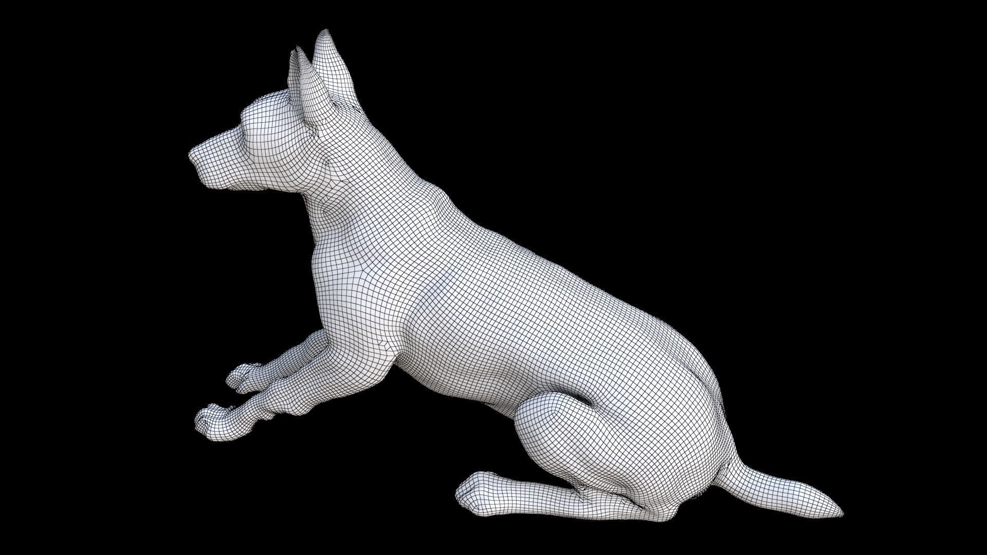 German Shepherd seated 3D model_7