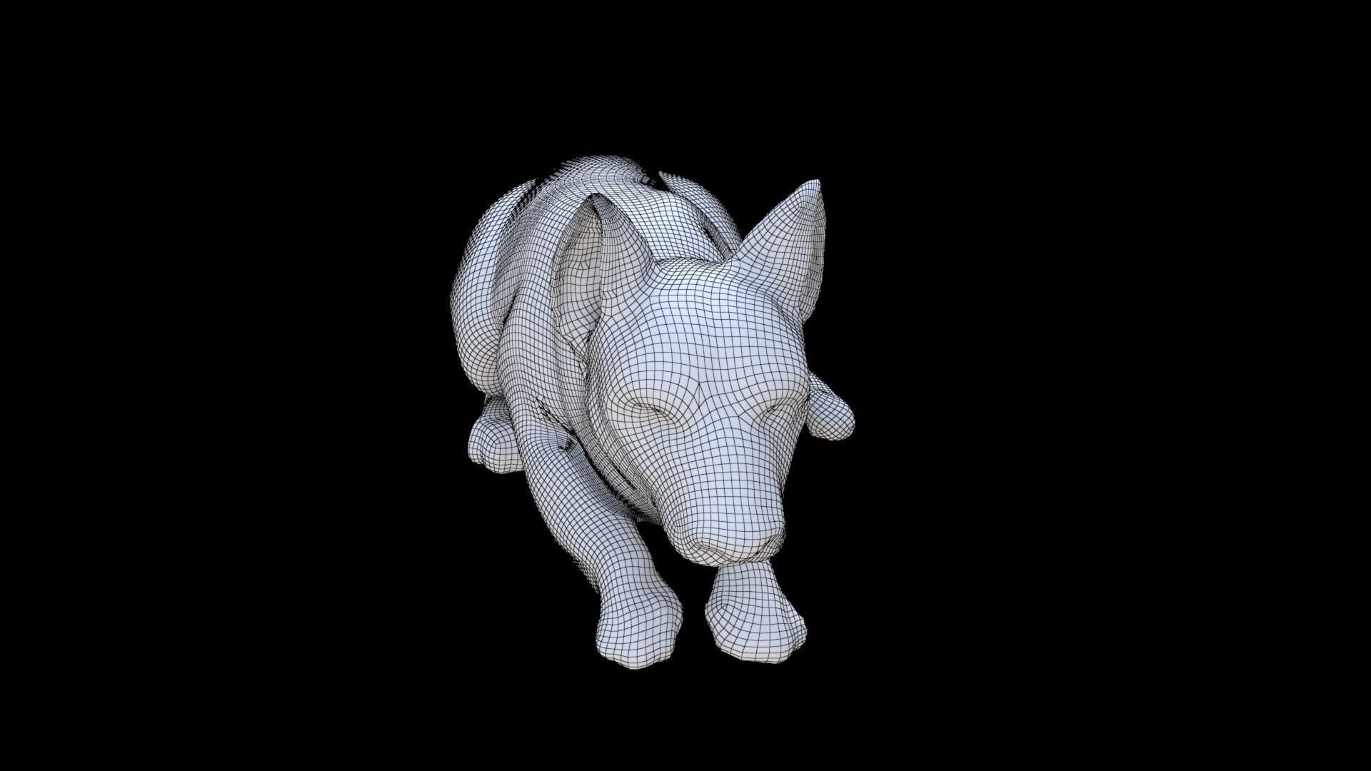 German Shepherd sleeping 3D model_5