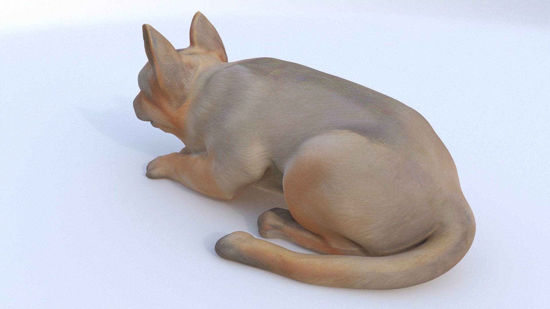 German Shepherd sleeping 3D model_2