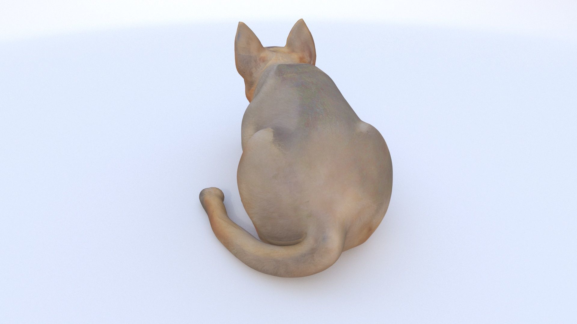 German Shepherd sleeping 3D model_3
