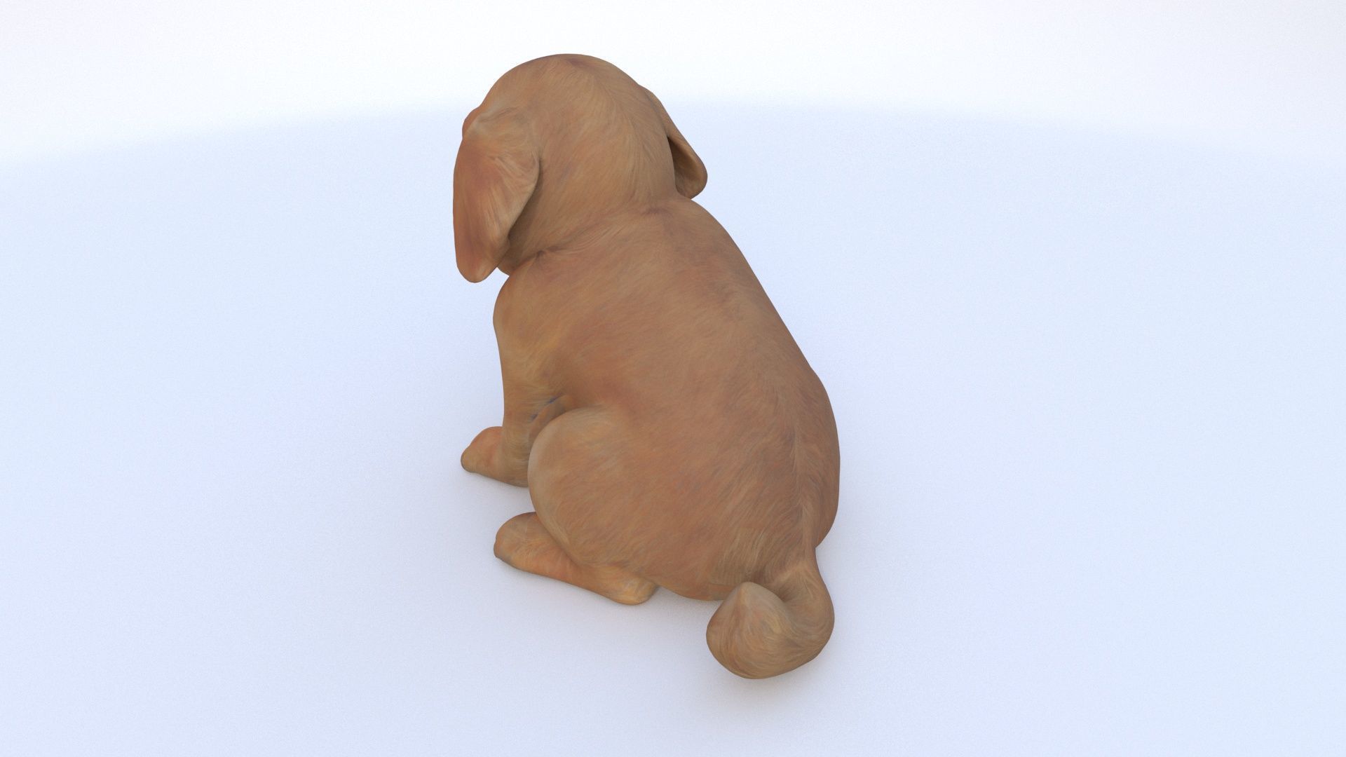 Golden Retriever 3D model_3