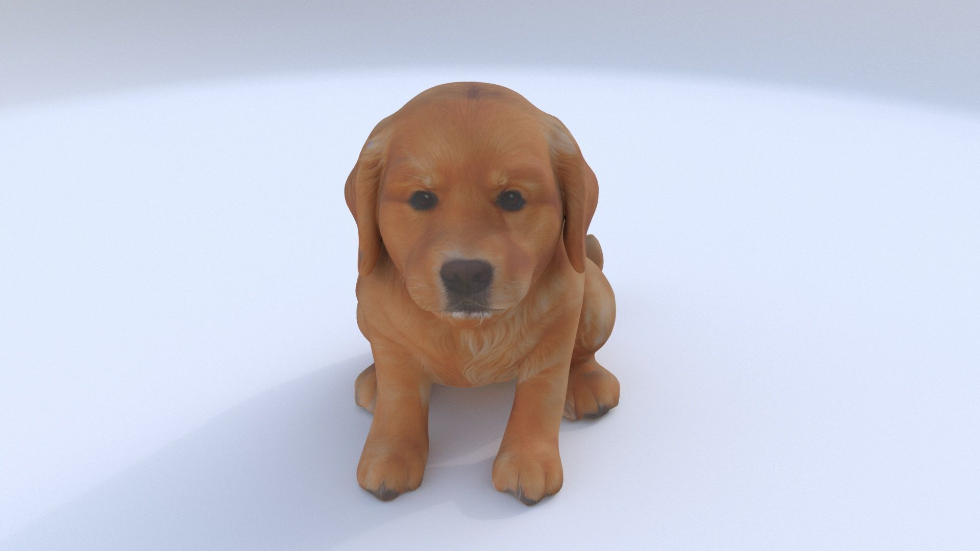 Golden Retriever 3D model_1