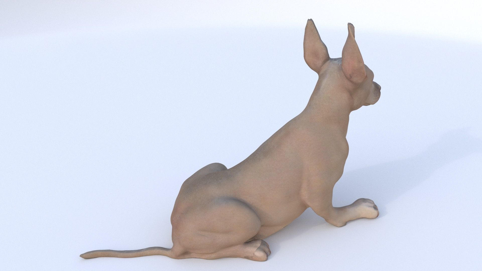 Great Dane seated 3D model_4