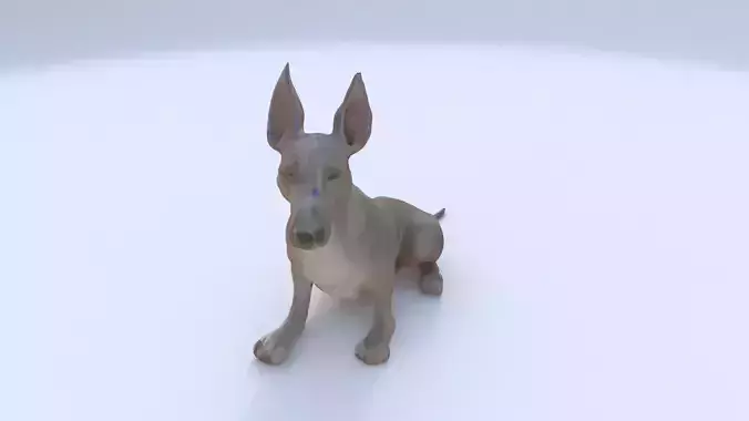 Great Dane seated 3D model
