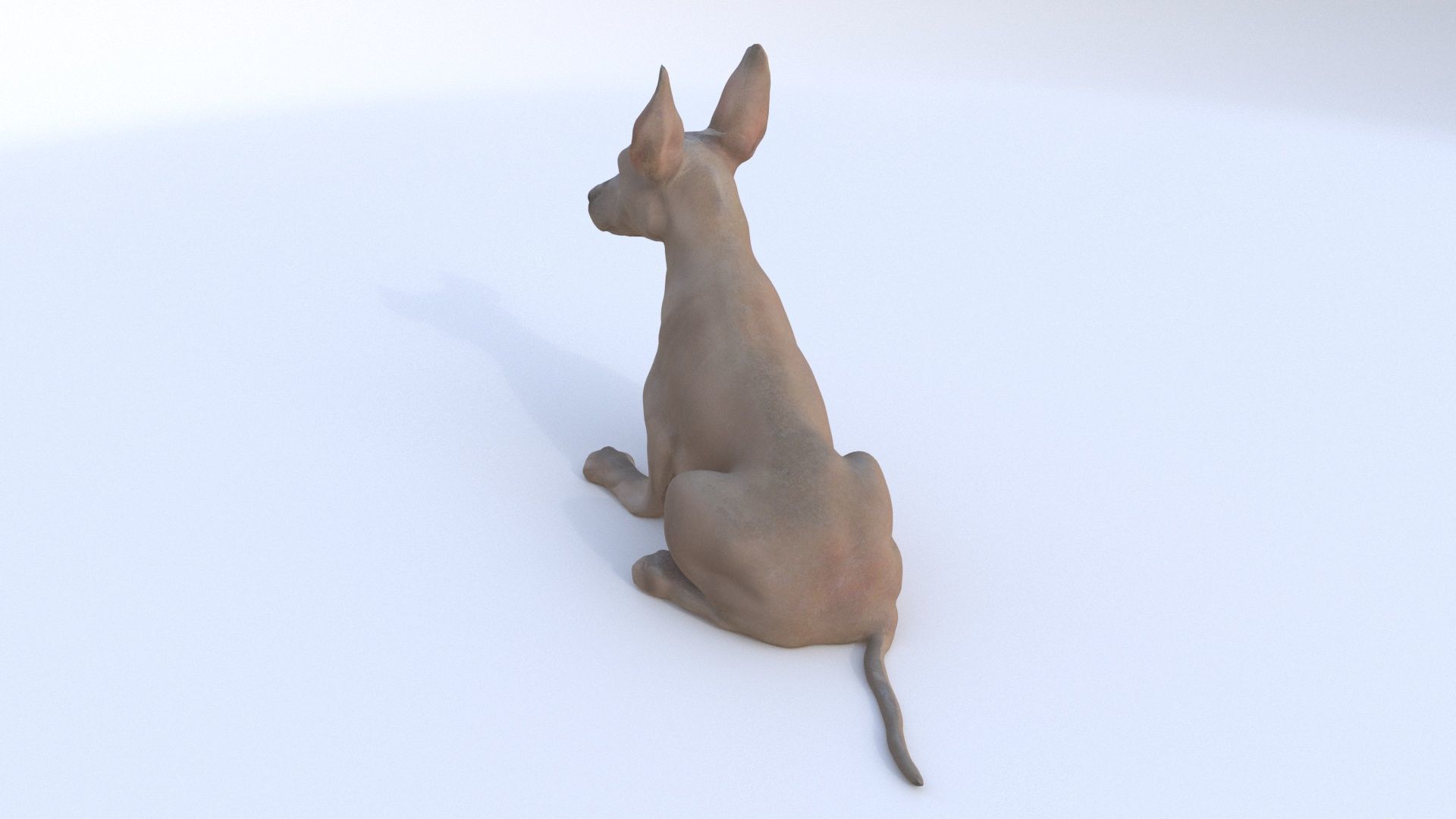 Great Dane seated 3D model_2