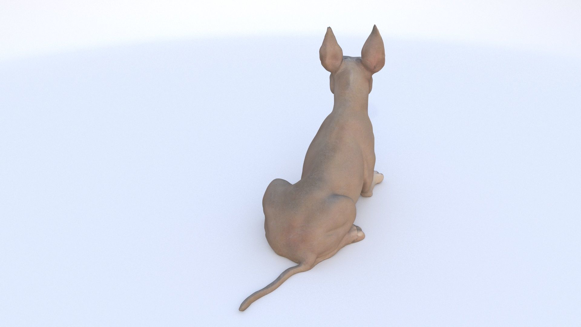 Great Dane seated 3D model_3
