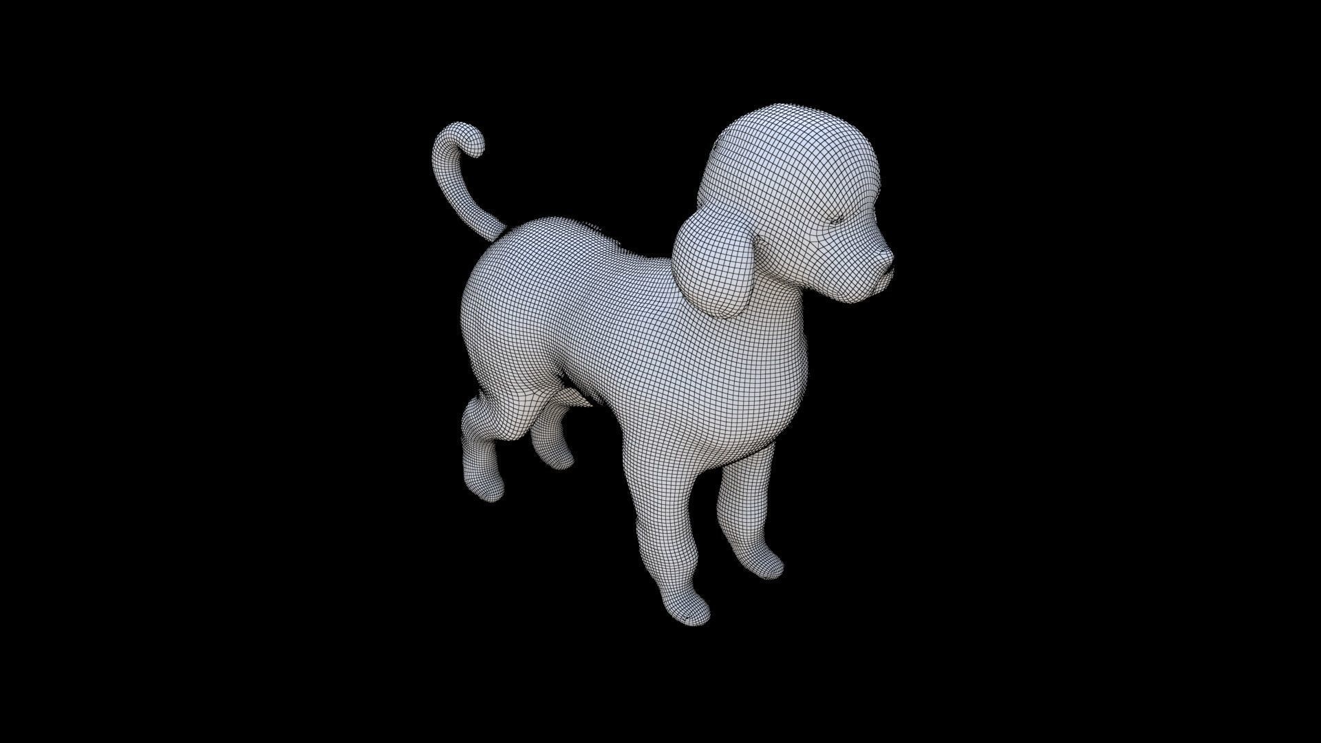 Poodle 3D model_5