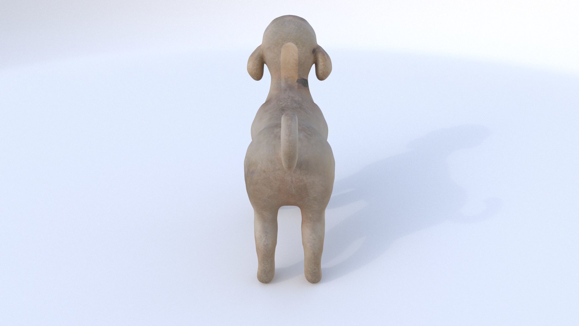 Poodle 3D model_4
