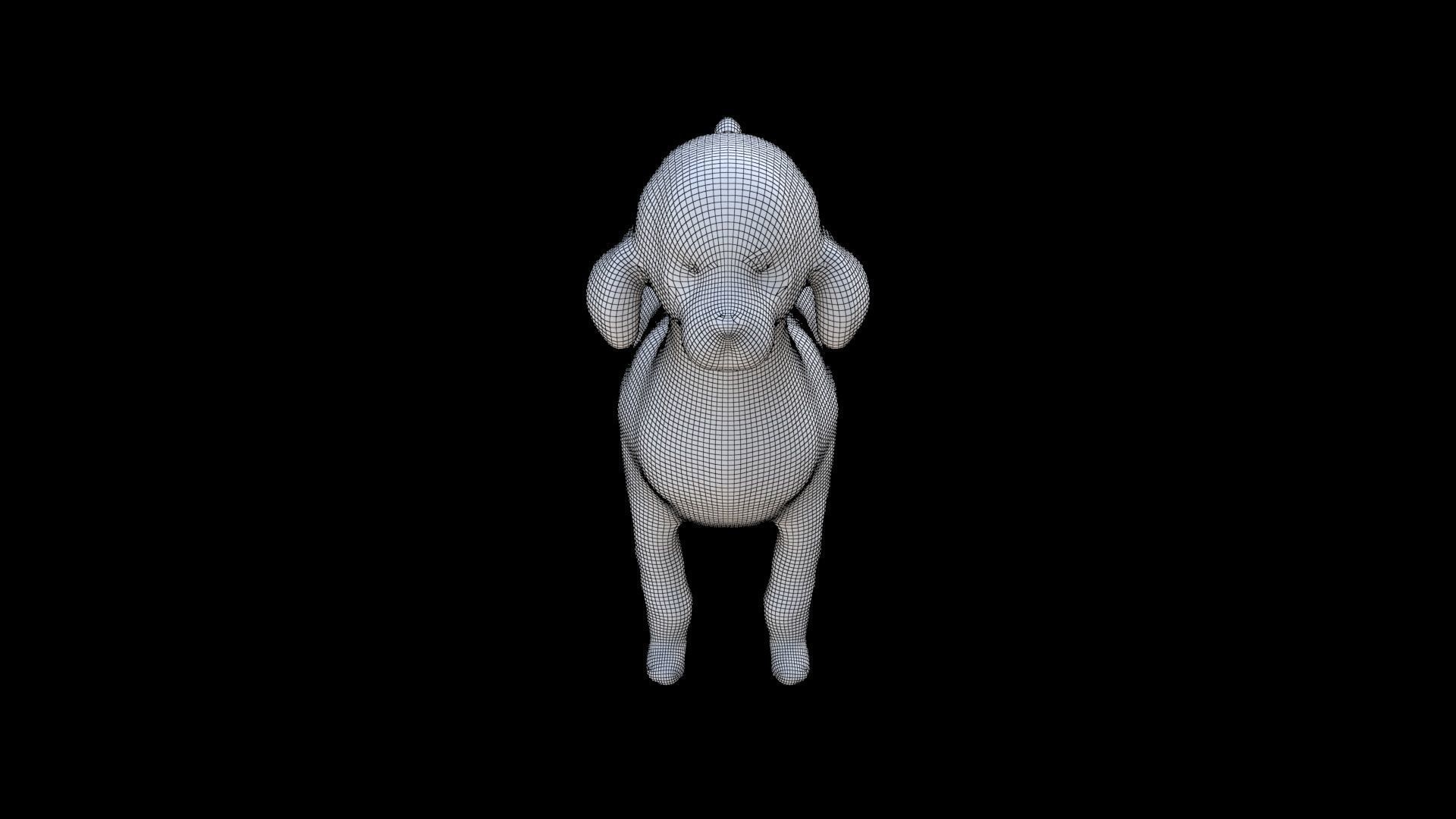 Poodle 3D model_6