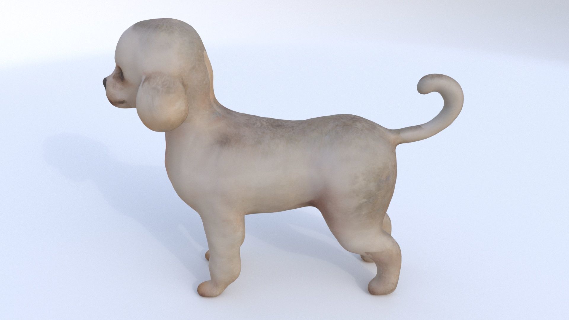 Poodle 3D model_2