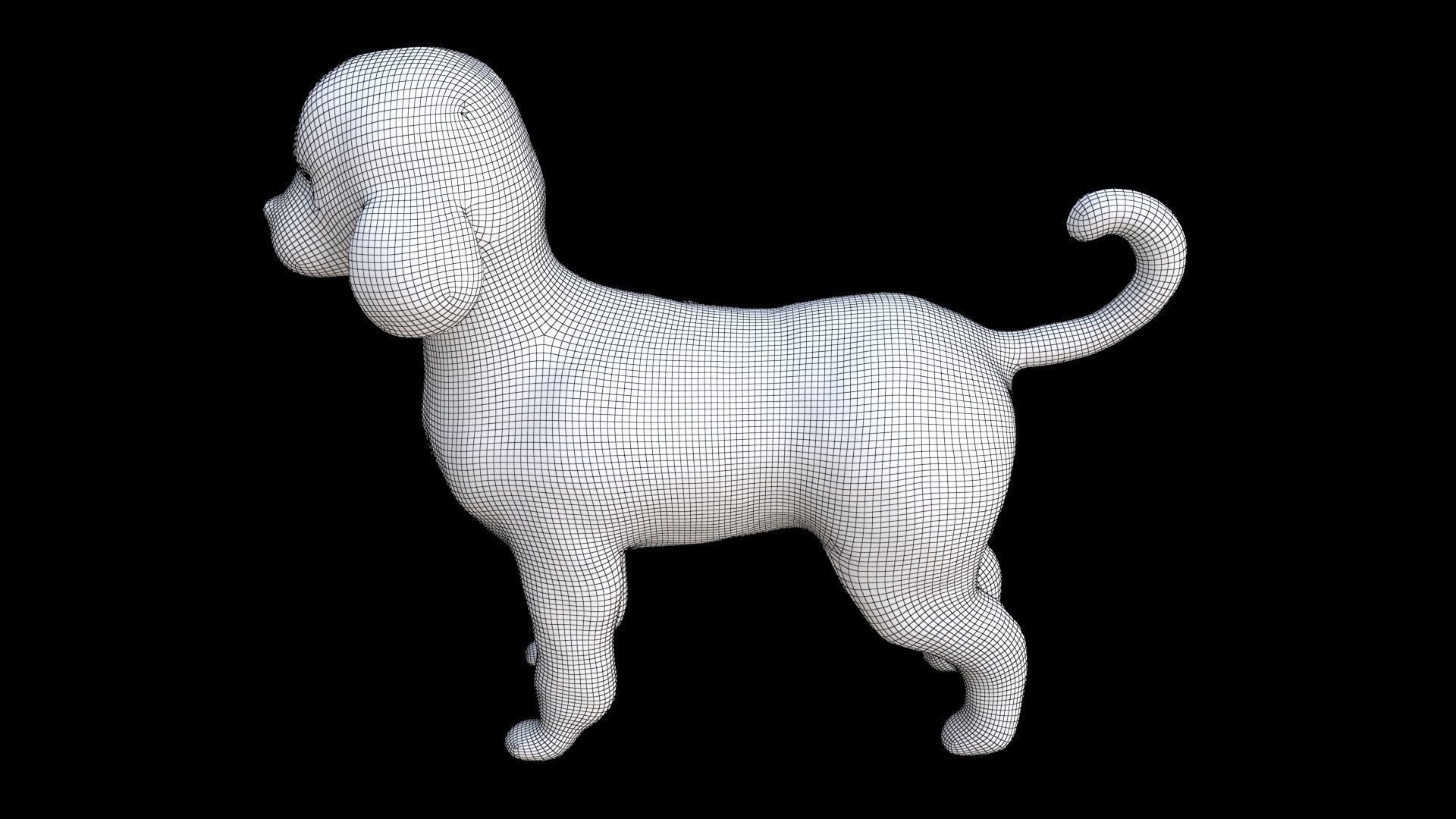 Poodle 3D model_7