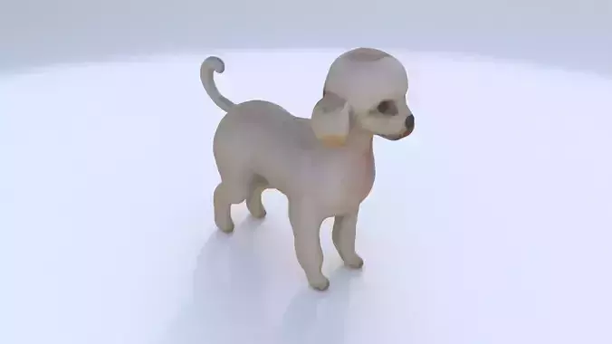 Poodle 3D model