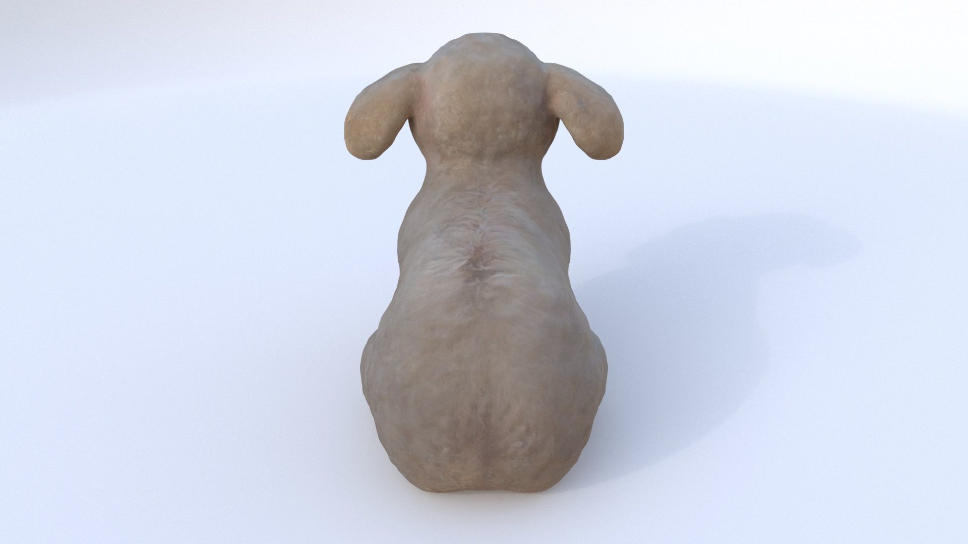 Poodle seated 3D model_4