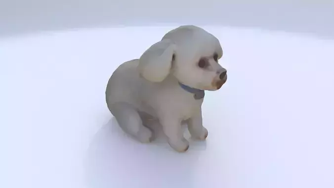 Poodle seated 3D model
