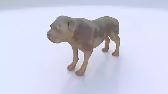 Rottweiler 3D model