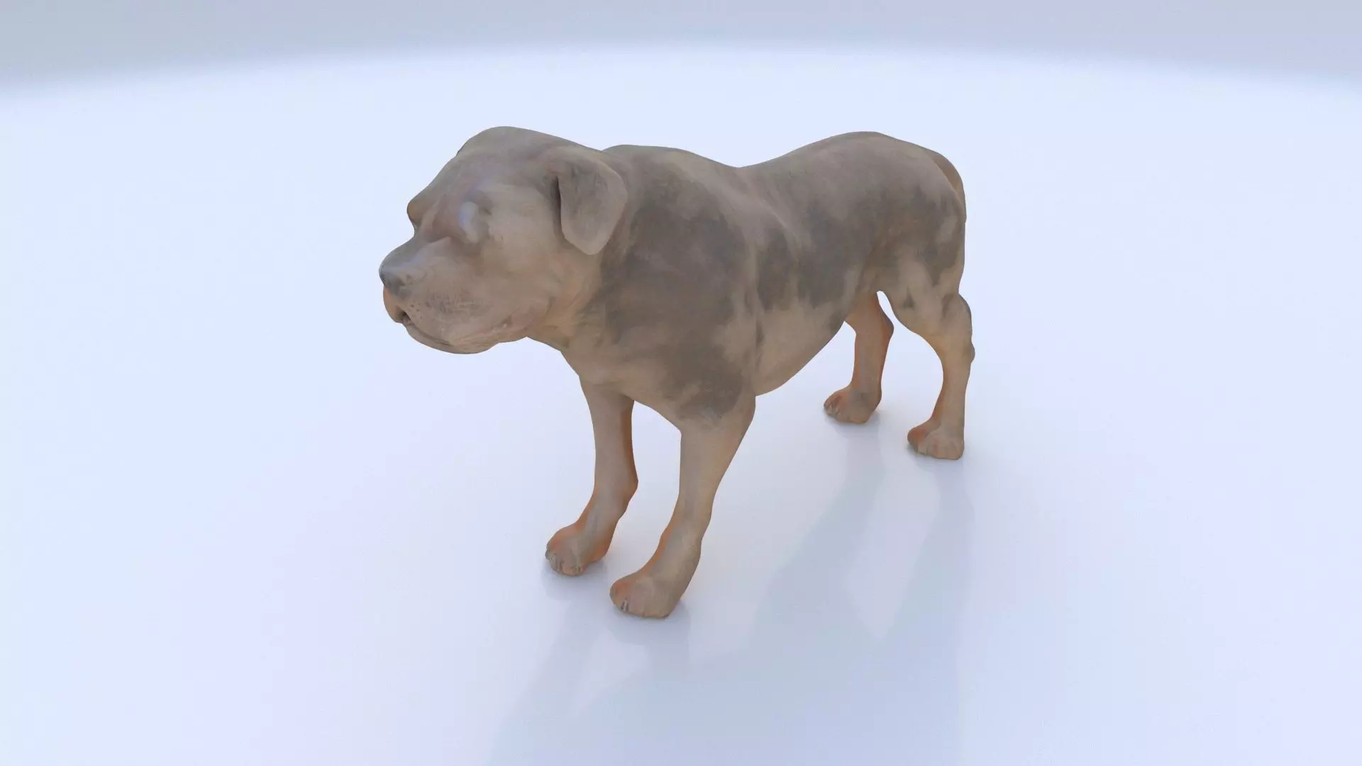 Rottweiler 3D model_0