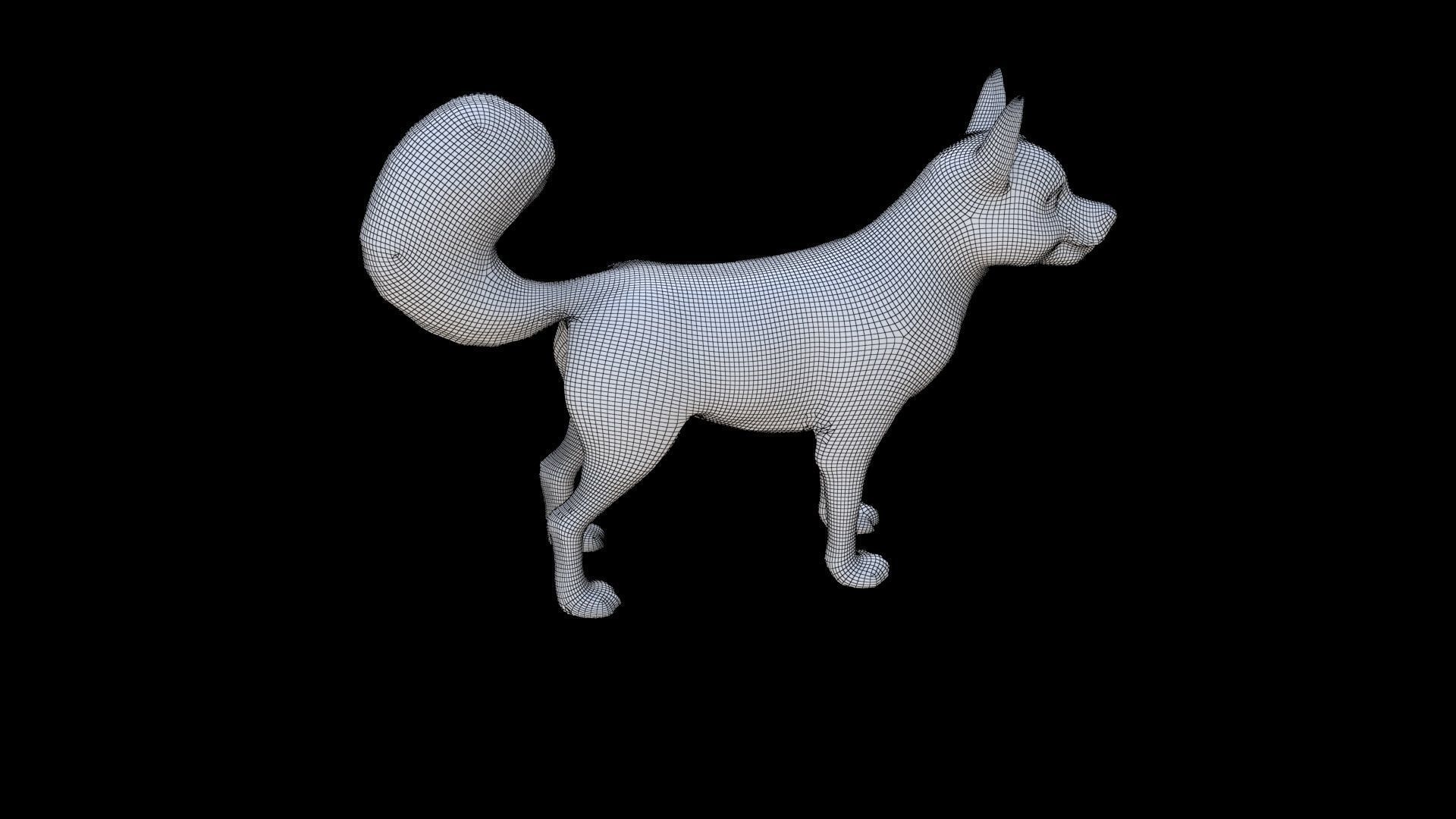 Siberian Husky 3D model_5