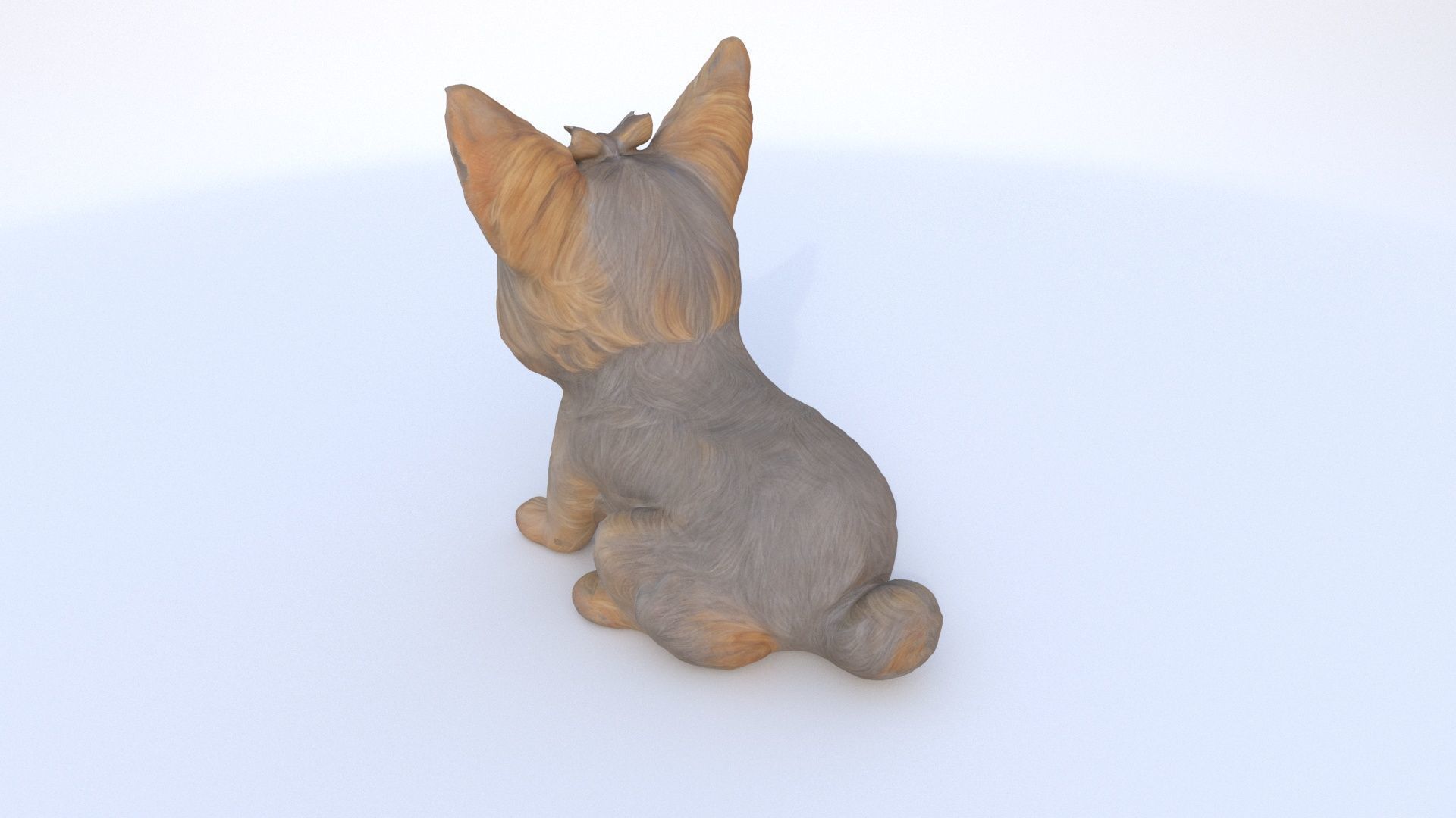 Yorkshire Terrier seated 3D model_3