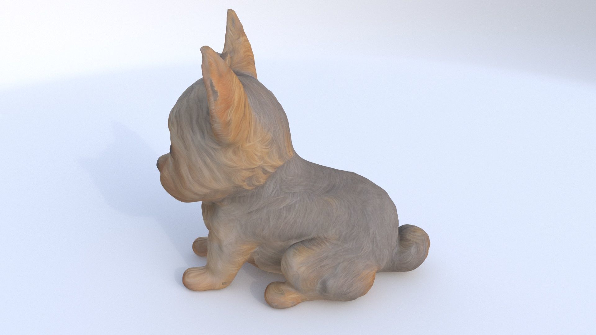 Yorkshire Terrier seated 3D model_2
