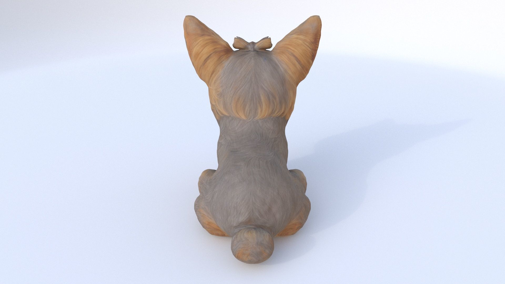 Yorkshire Terrier seated 3D model_4