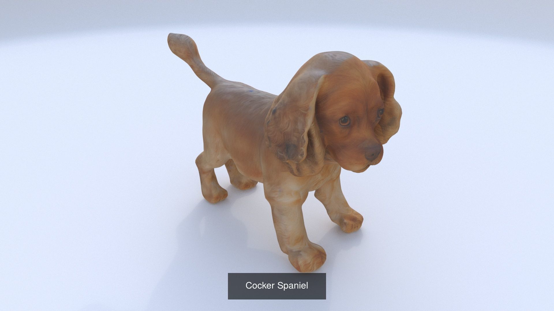 23 3D model of dogs collection _7