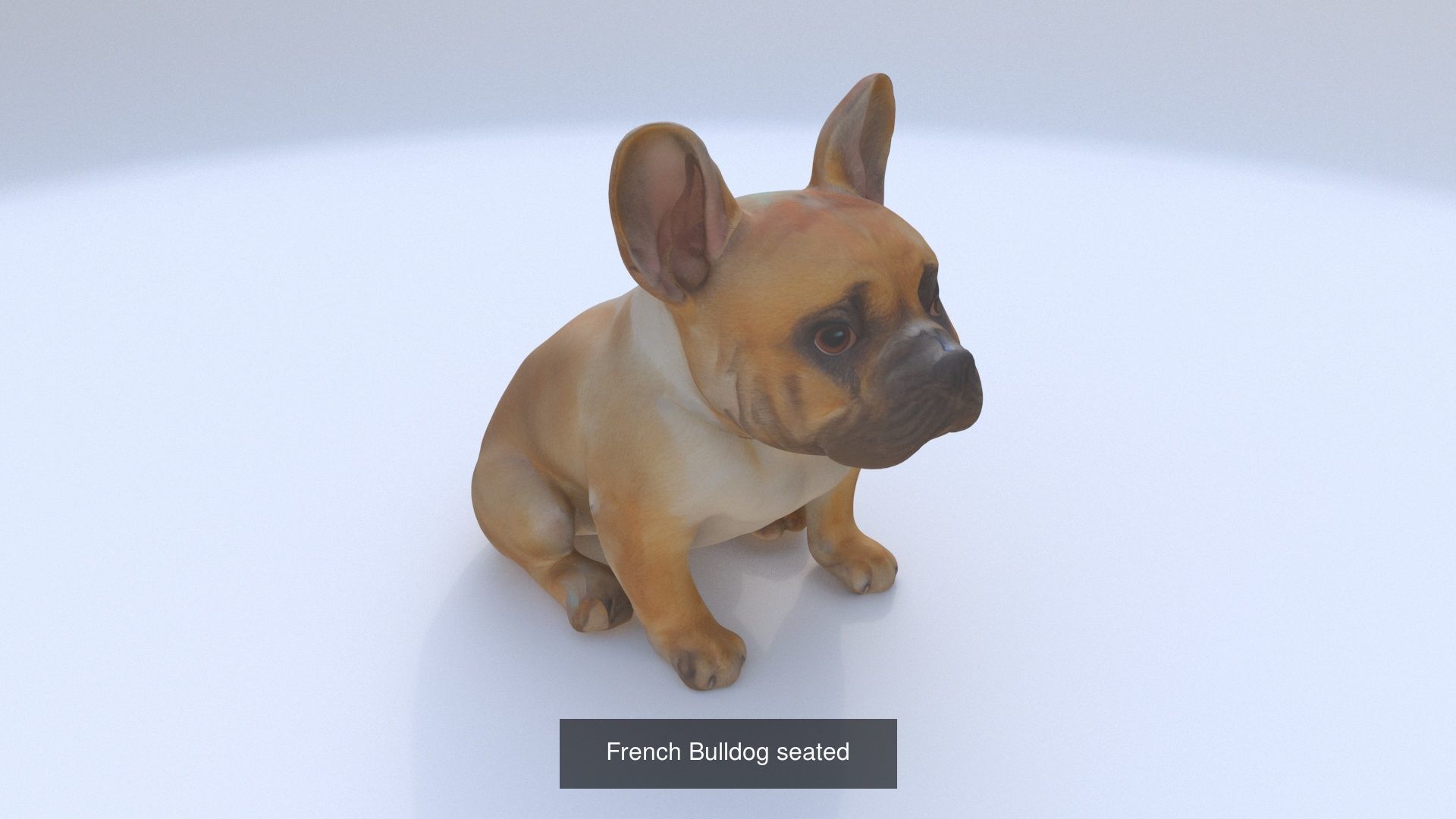 23 3D model of dogs collection _12