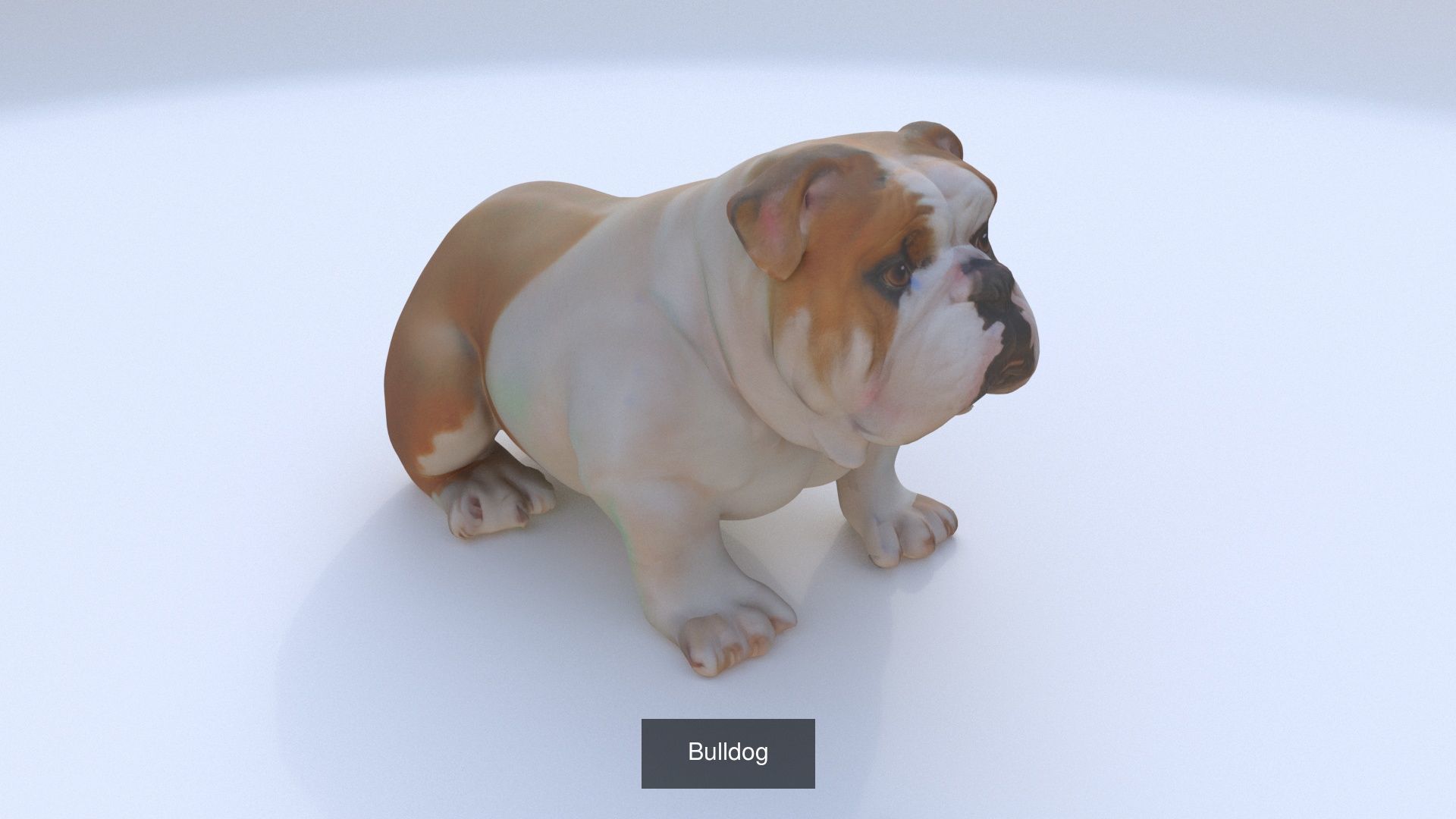 23 3D model of dogs collection _5