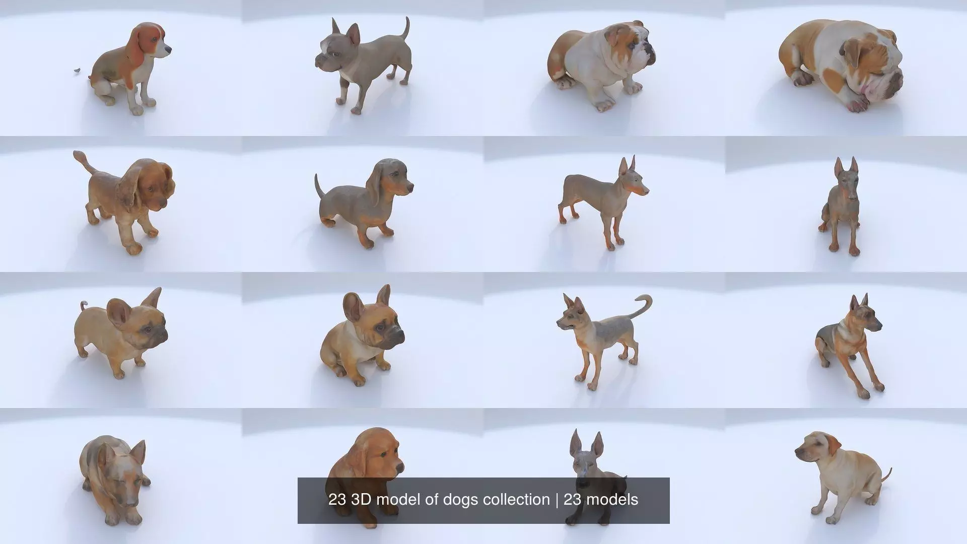 23 3D model of dogs collection _0