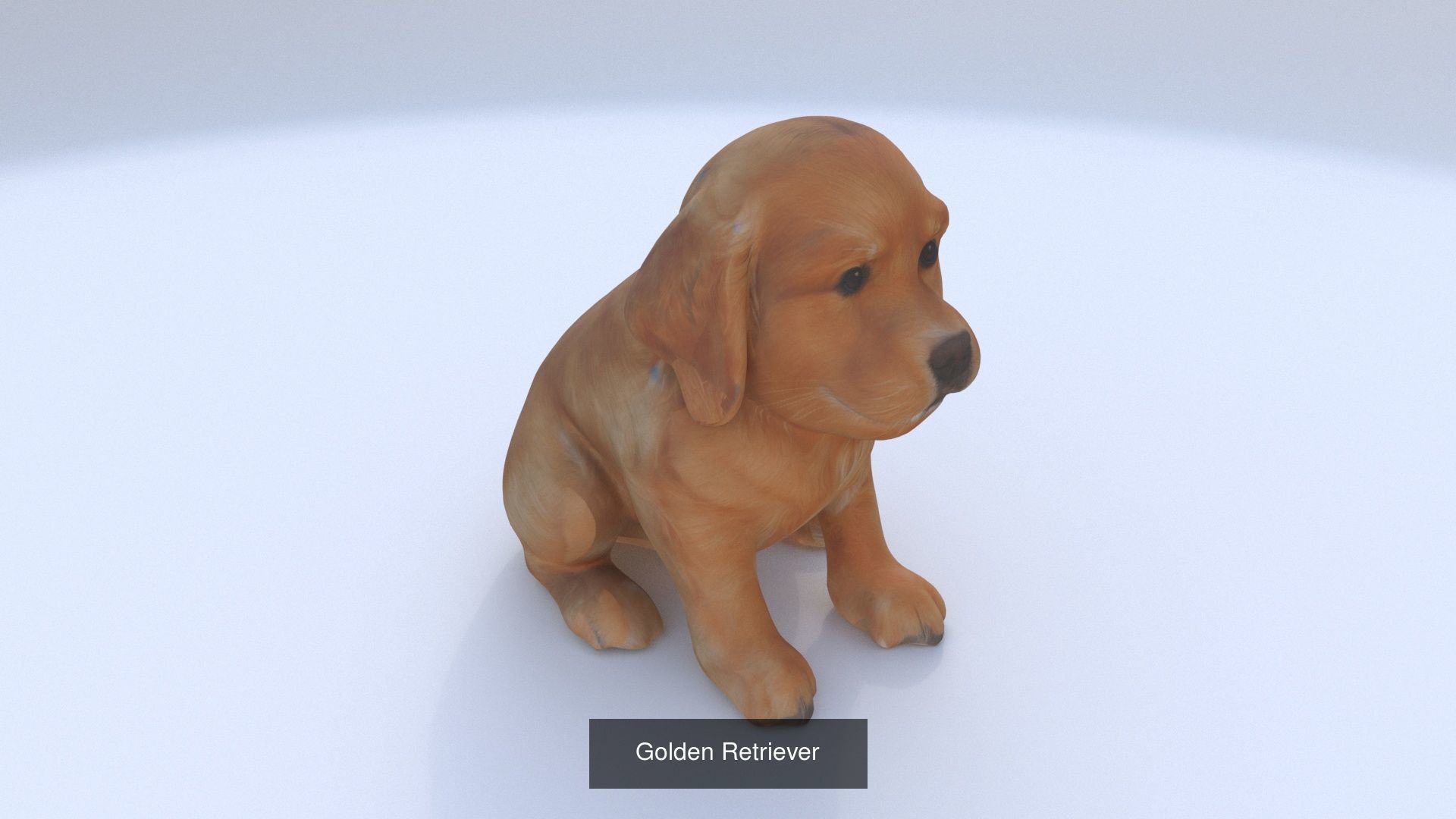 23 3D model of dogs collection _16