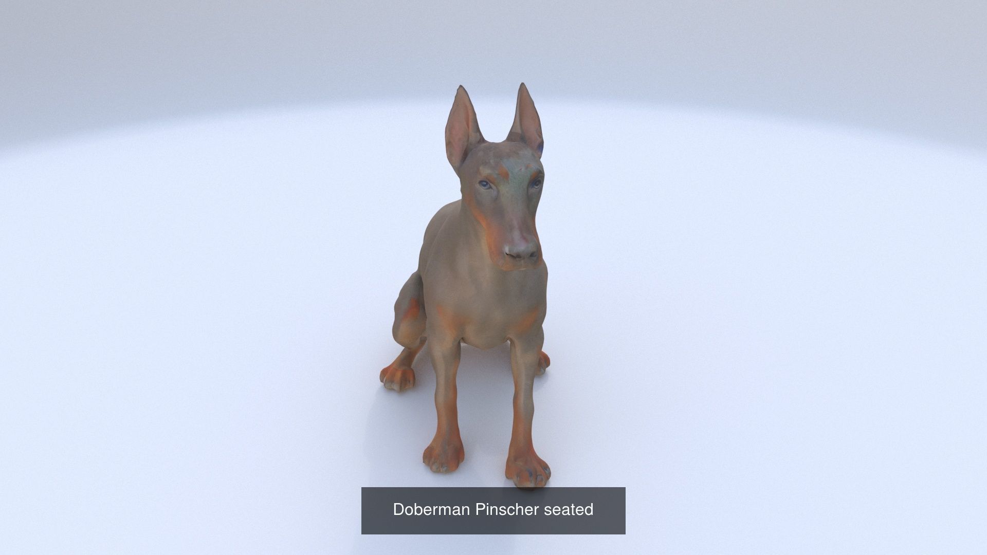 23 3D model of dogs collection _10