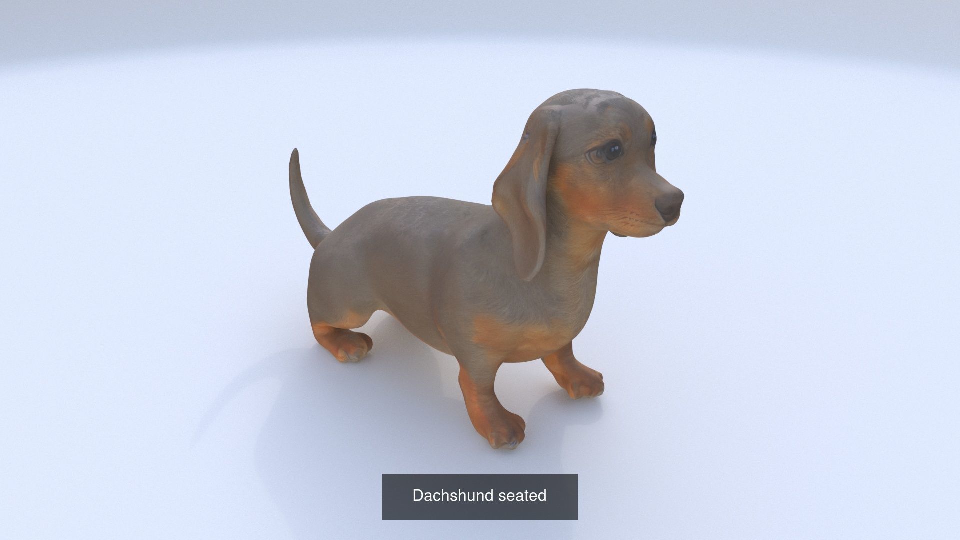 23 3D model of dogs collection _8
