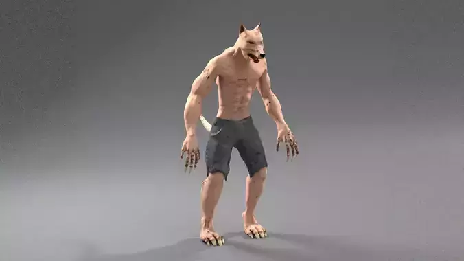 Werewolf wolf in shorts
