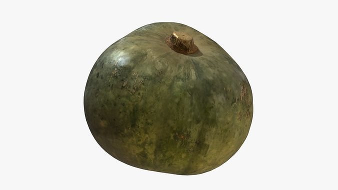 Decorative Pumpkin Green 3D model 3