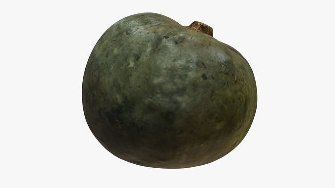 Decorative Pumpkin Green 3D model 4
