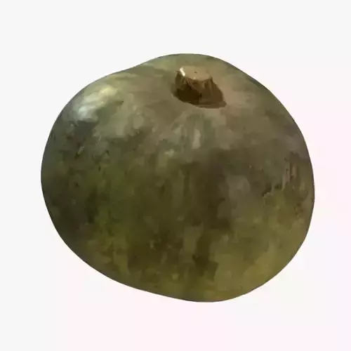 Decorative Pumpkin Green