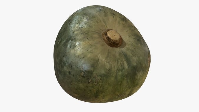Decorative Pumpkin Green 3D model 5