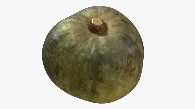Decorative Pumpkin Green 3D model 6