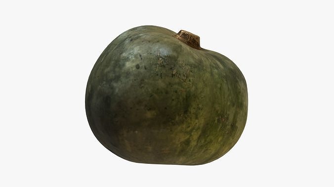 Decorative Pumpkin Green 3D model 2
