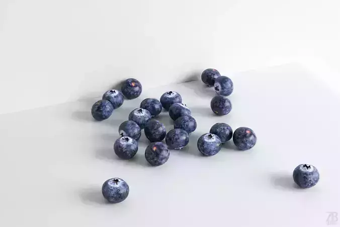 Blueberry 3D model