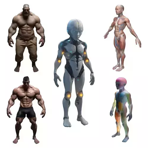 Advanced Human Body Study Collection