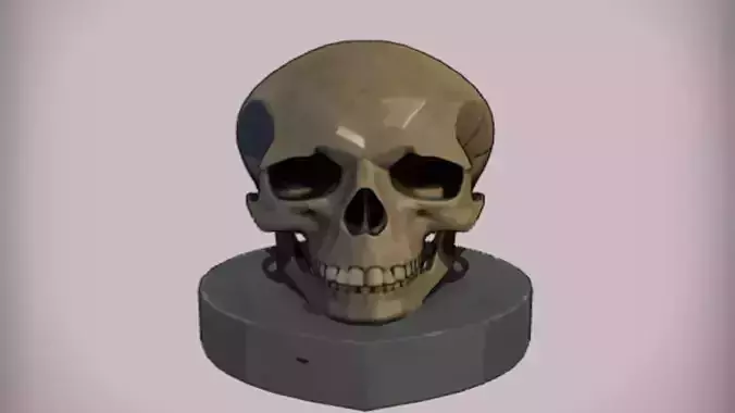 human skull on a pedestal 3D Game Ready Model