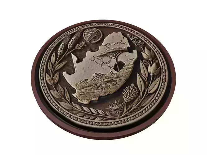 South Africa Map Medallion Relief