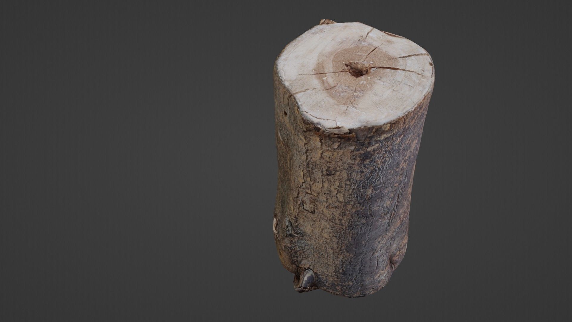 Realisitc log Low-poly 3D model_7