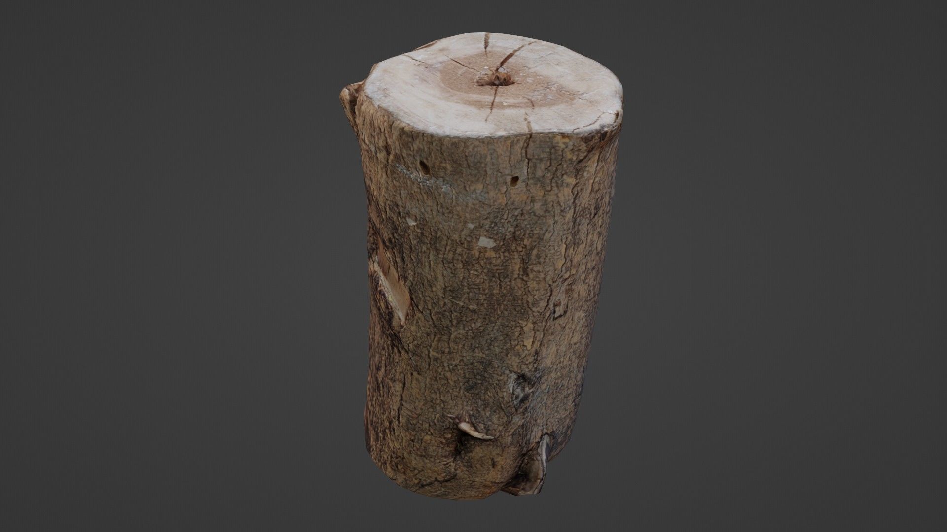 Realisitc log Low-poly 3D model_6