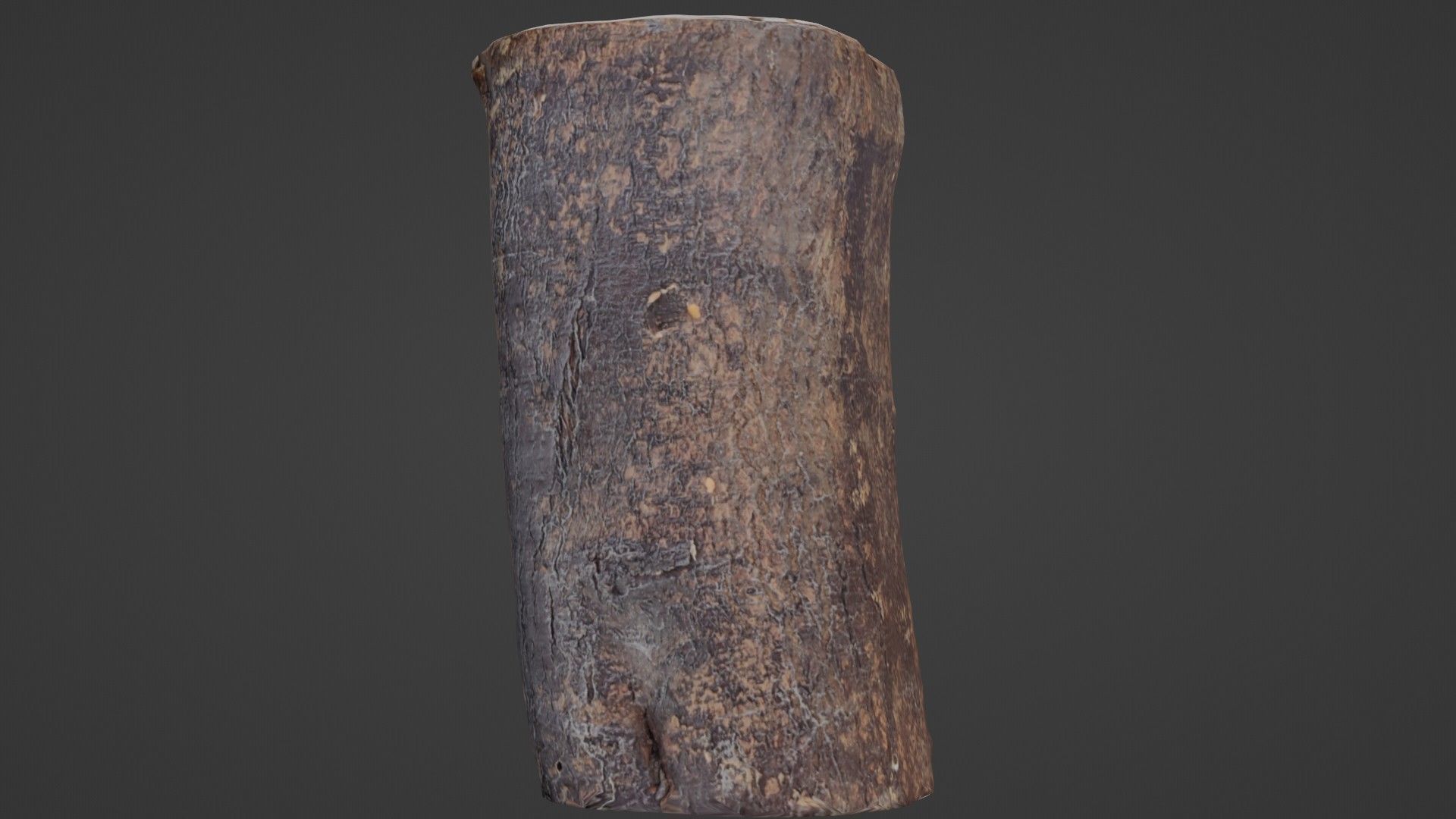 Realisitc log Low-poly 3D model_1